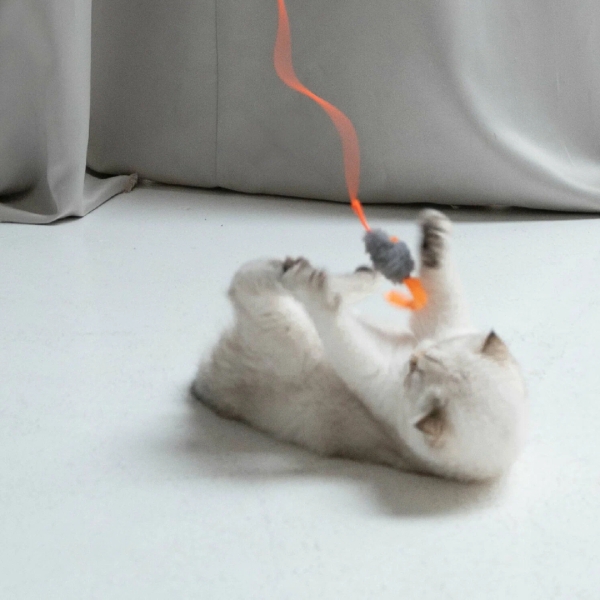 100 приятных подарков коллеге на 8 Марта