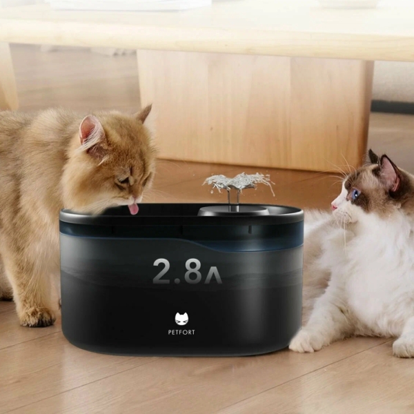 100 приятных подарков коллеге на 8 Марта