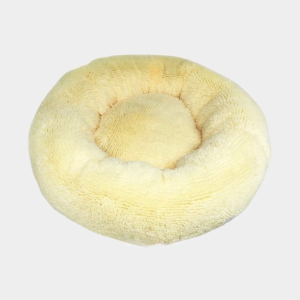 100 интересных подарков женщине на день рождения