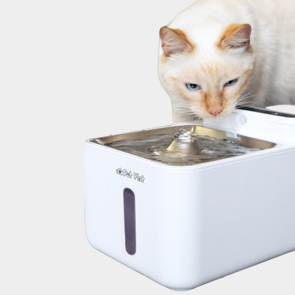 100 интересных подарков женщине на день рождения