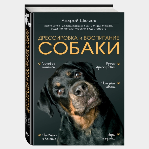 100 интересных подарков женщине на день рождения