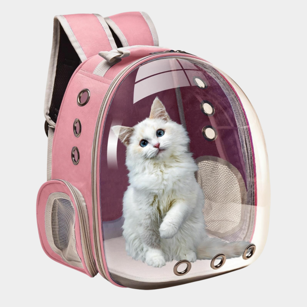 100 интересных подарков женщине на день рождения