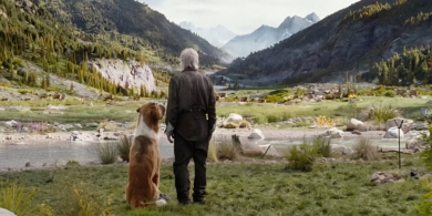 13 захватывающих и очень красивых фильмов про природу