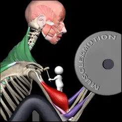 15 удобных приложений для похудения в 2026&nbsp;году