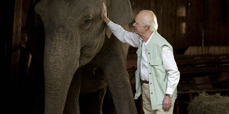 8 скандинавских фильмов, которые вы могли пропустить. А зря
